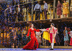Individual Opera Tickets